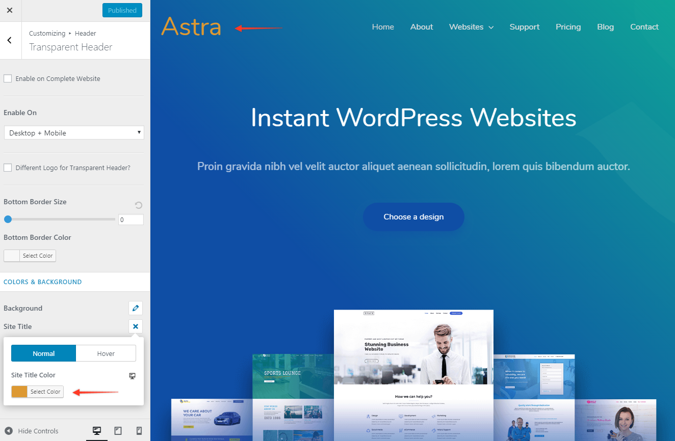 Astra Theme Customizer Option
