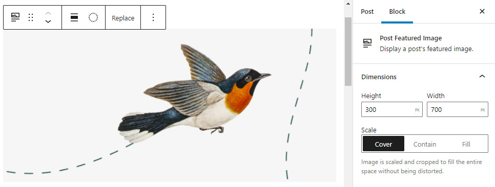 Feature Image Block