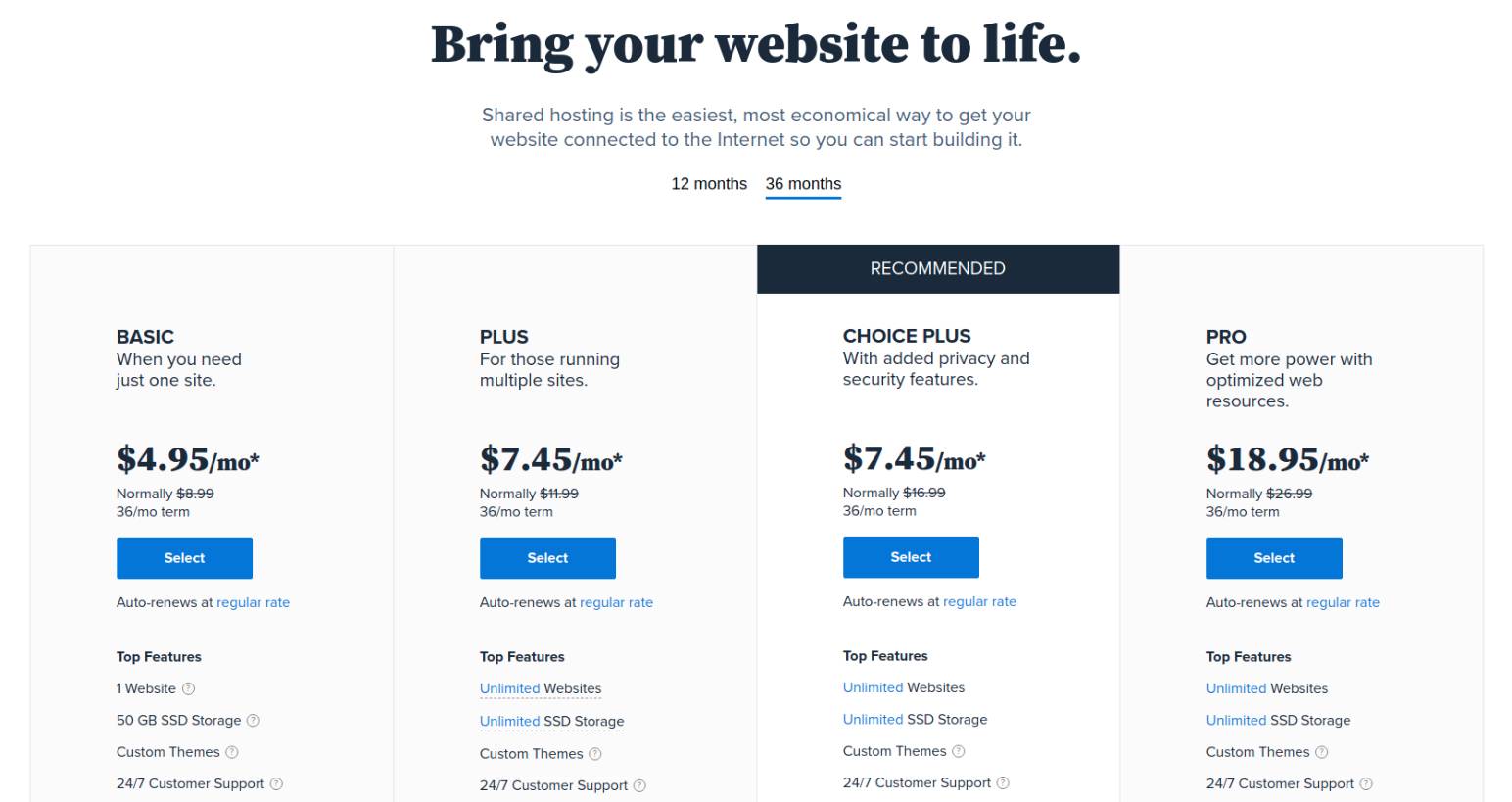 Bluehost Hosting Plan