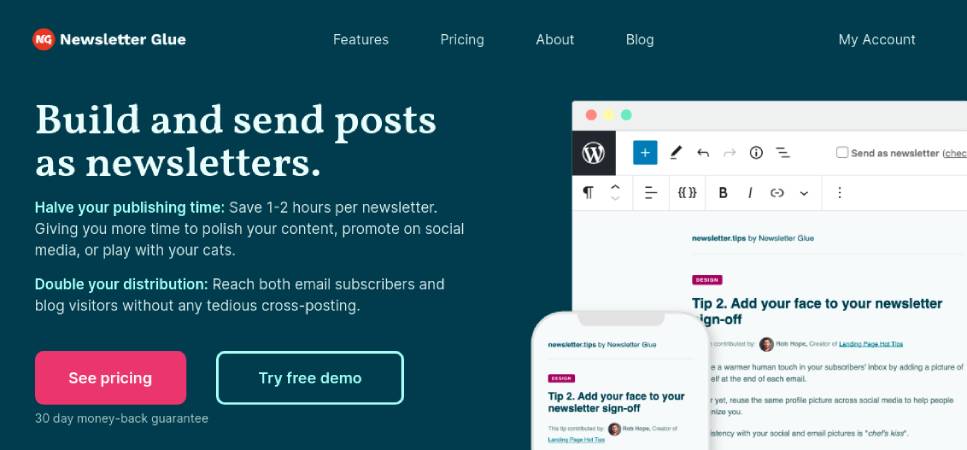 Newsletter Glue WordPress Plugin