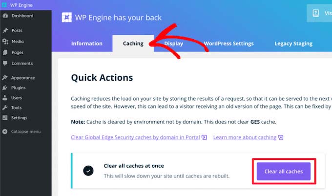 Clear Cache in WP Engine
