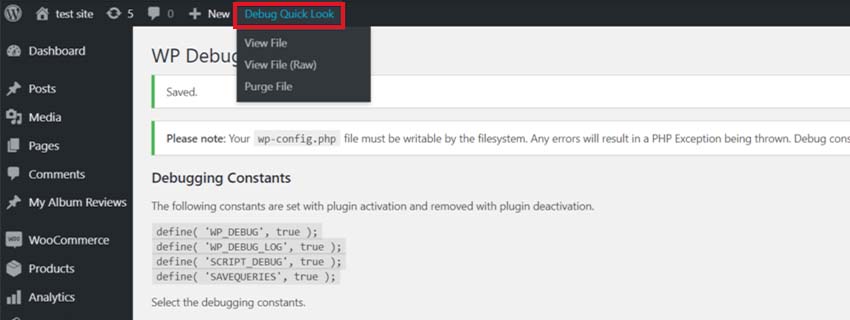 Debug Quick Look Feature in WP Debugging Plugin