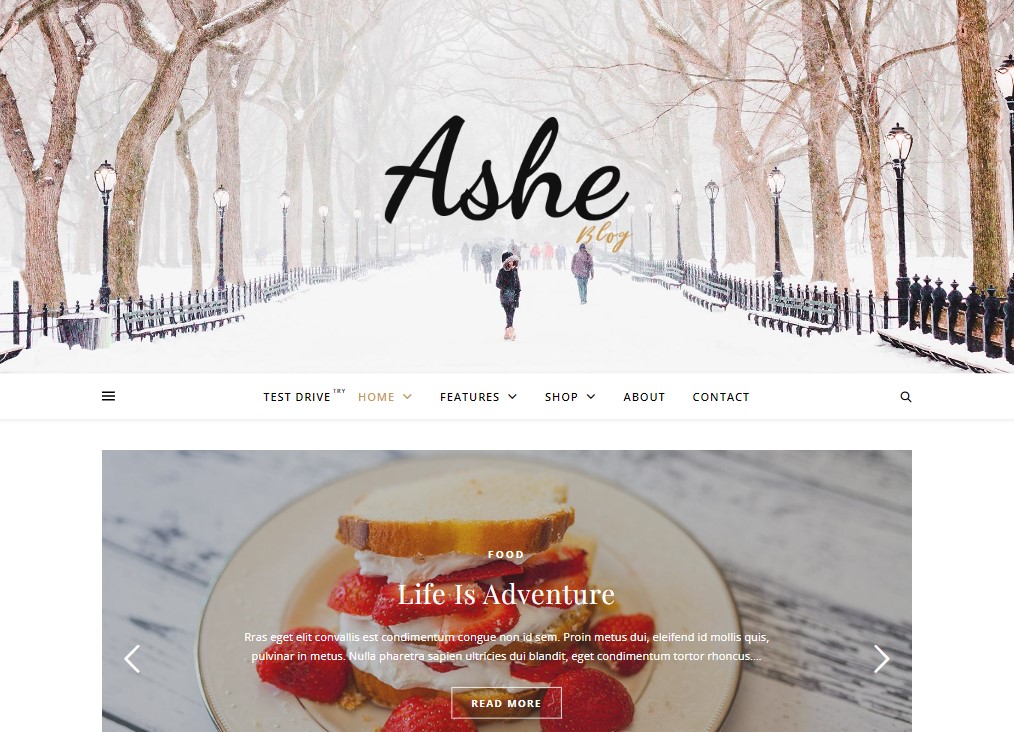 Ashe - Free WordPress Blog Theme