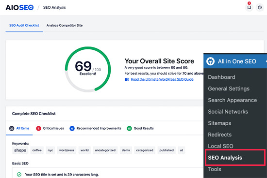 SEO Audit in AIOSEO