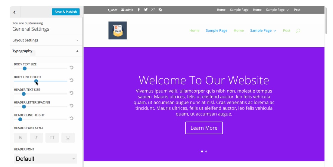 Divi WordPress Theme Customizer Settings