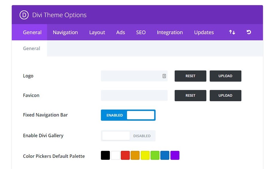 Divi Theme Options