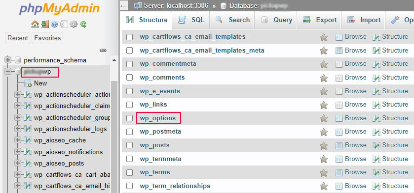 Select wp_options Table form Database