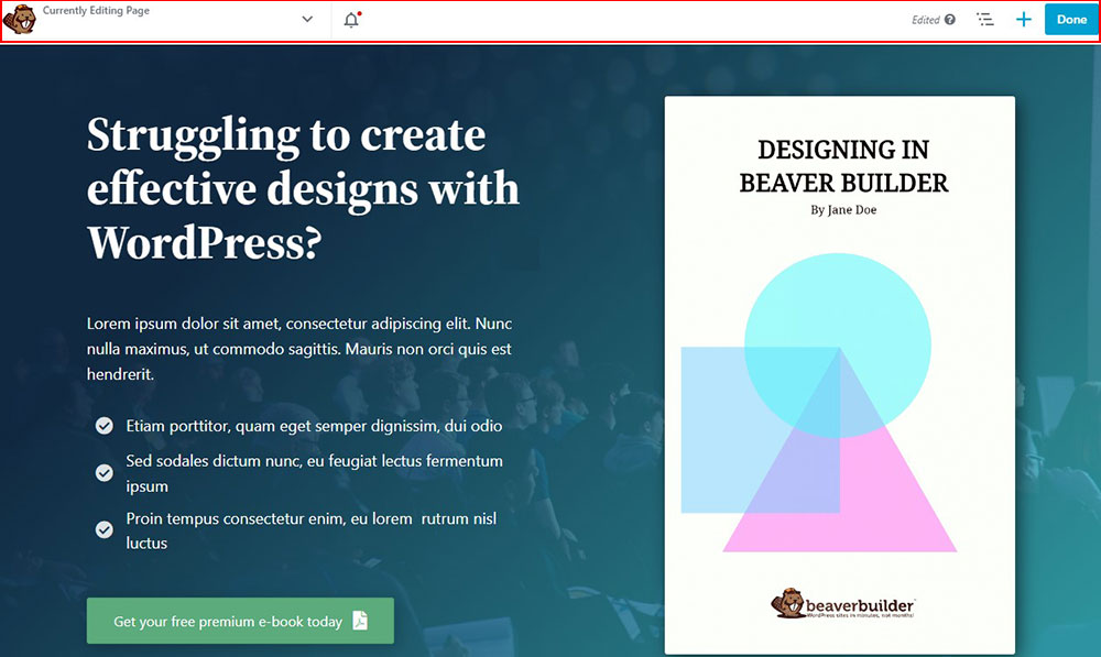 Beaver Builder Interface