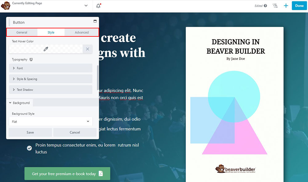 Beaver Builder Styling Options