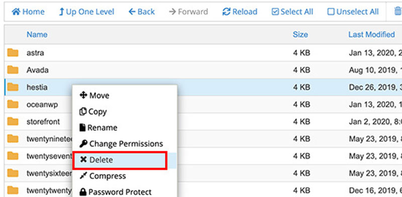 Delete a WordPress Theme Using File Manager