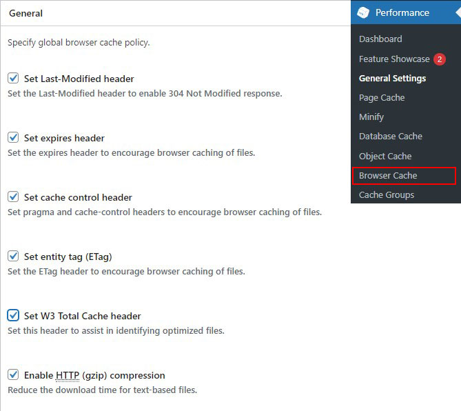 W3 Total Cache Browser Cache Settings