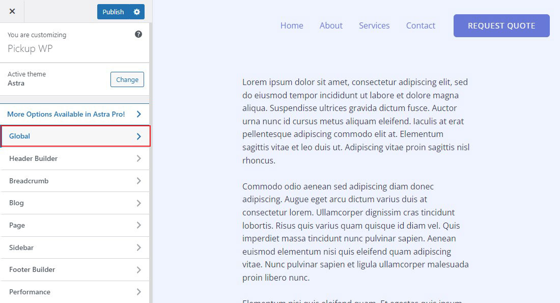 Astra Theme Global Option