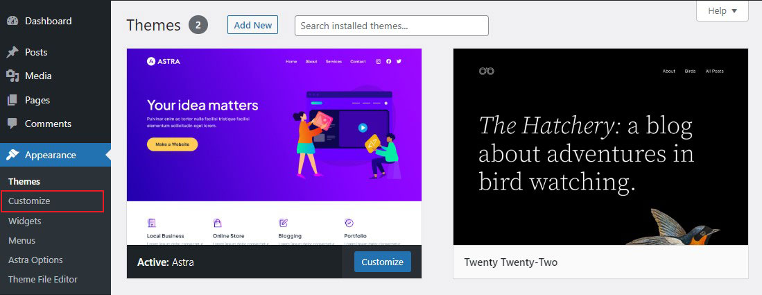 WordPress Theme Customizer Option