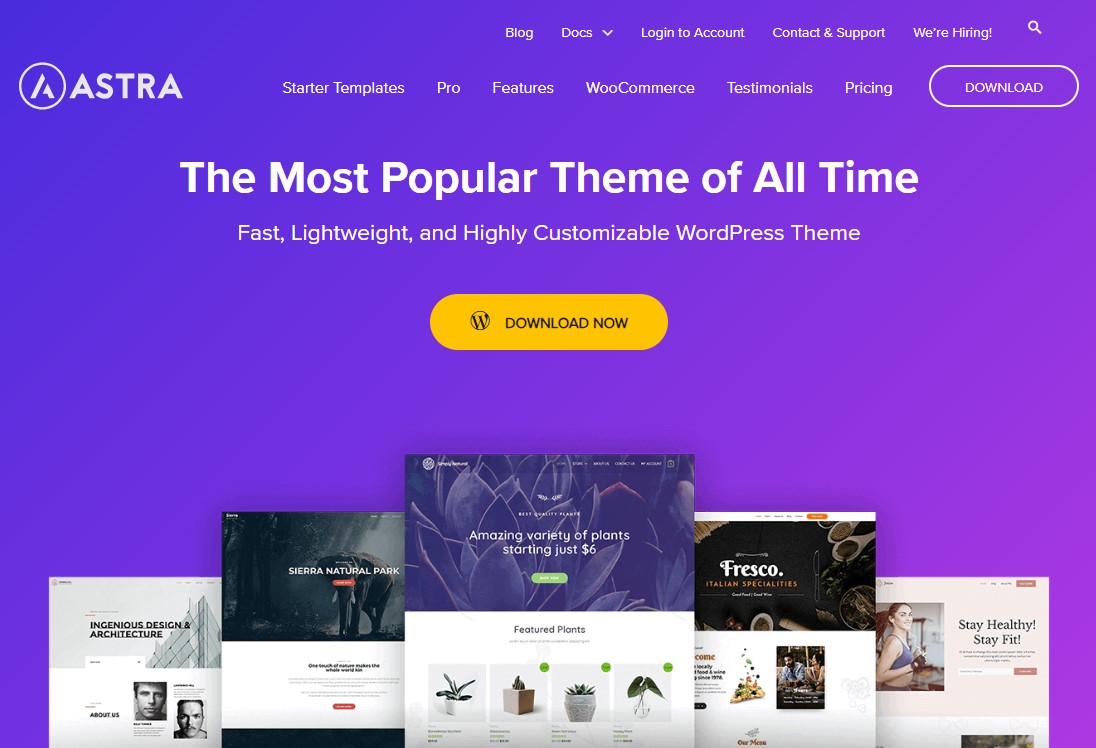 Astra - Fast, Lightweight & Customizable WordPress Theme