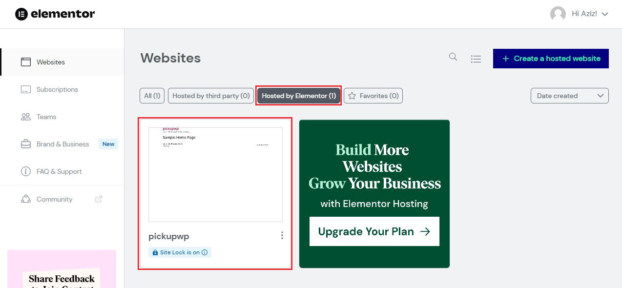 New Websites Hosted by Elementor