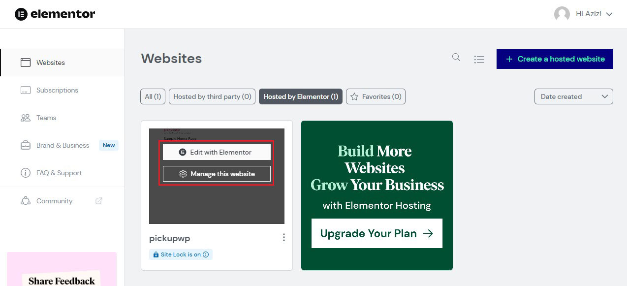 Options for Elementor Hosting Website