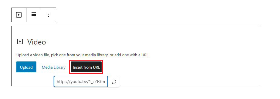 WordPress Insert Video From URL
