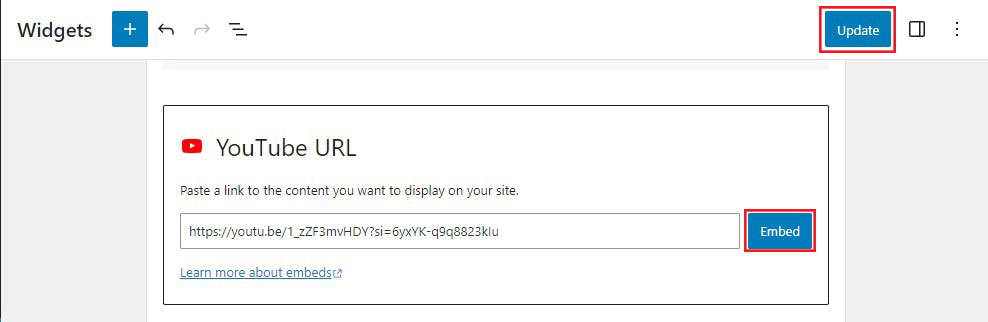 Enter Embed Video URL and Click Update