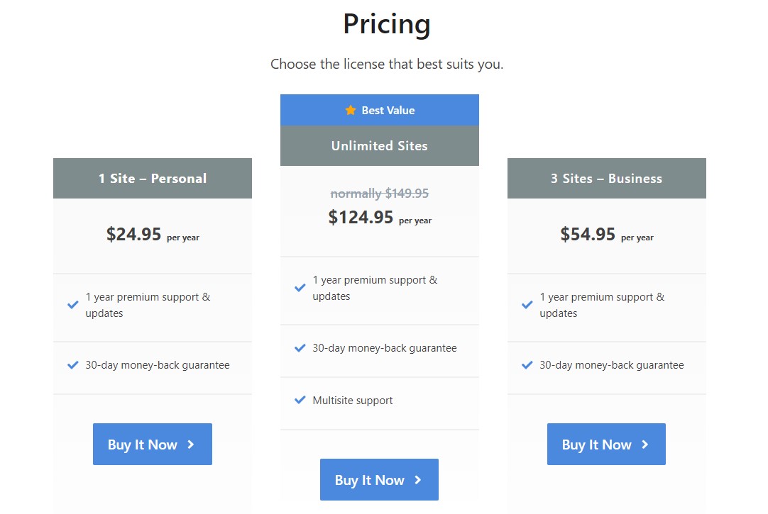 Perfmatters Pricing