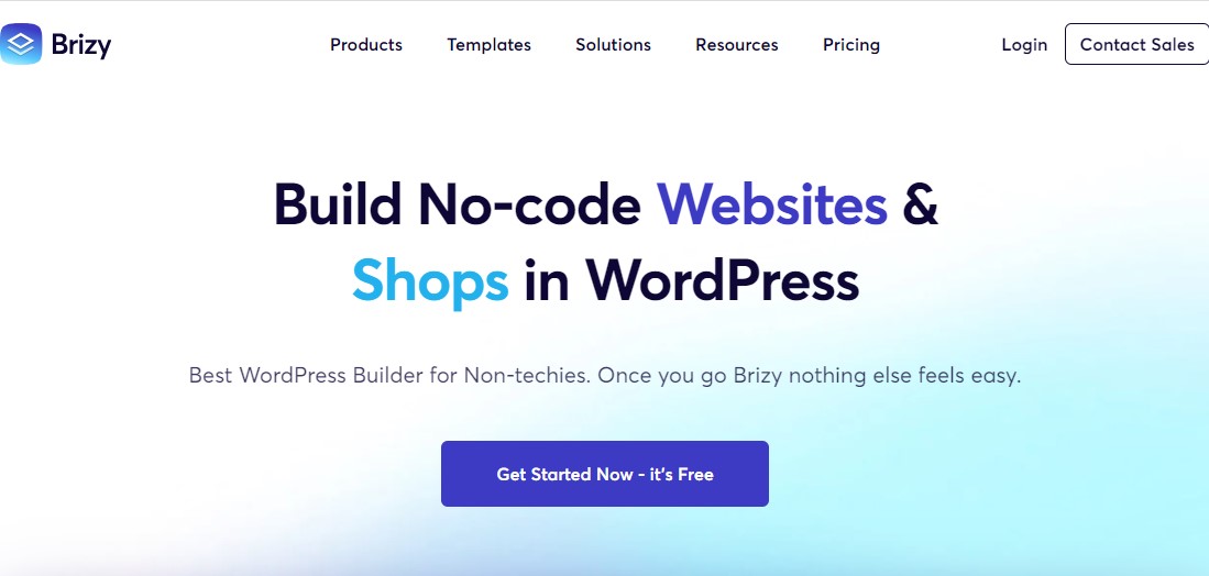 Brizy Website Builder