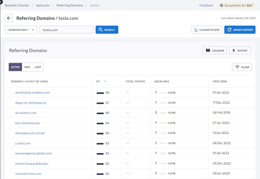 SE Ranking Referring Domains Report