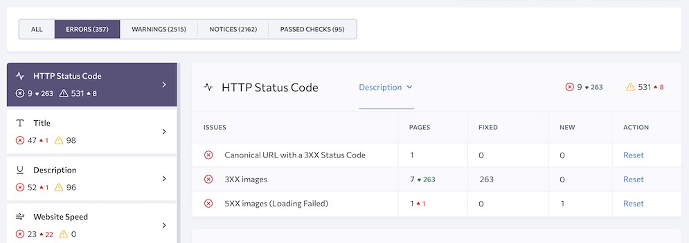 Website Audit Error Report