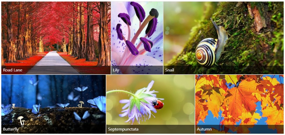 FooGallery Justified Gallery Example