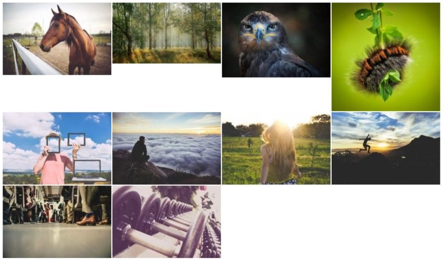 Responsive Lightbox and Gallery Example