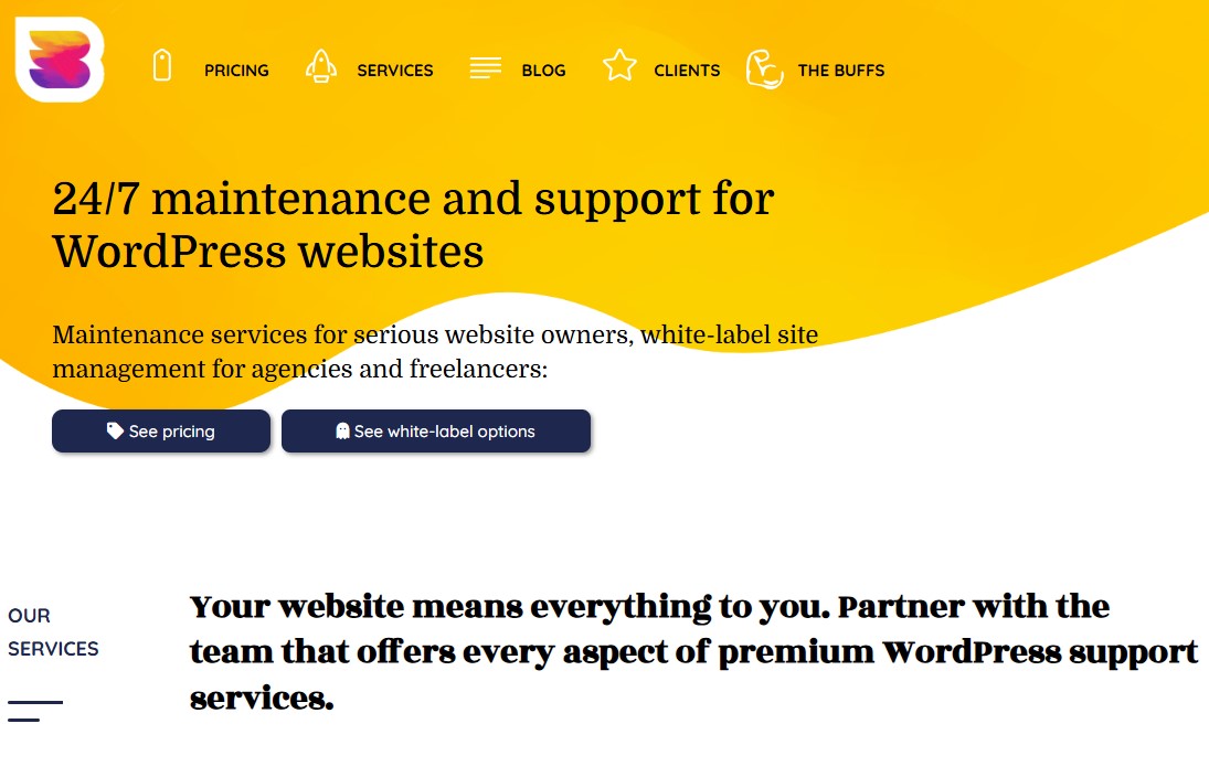 WP Buffs | 24/7 WordPress Website Management