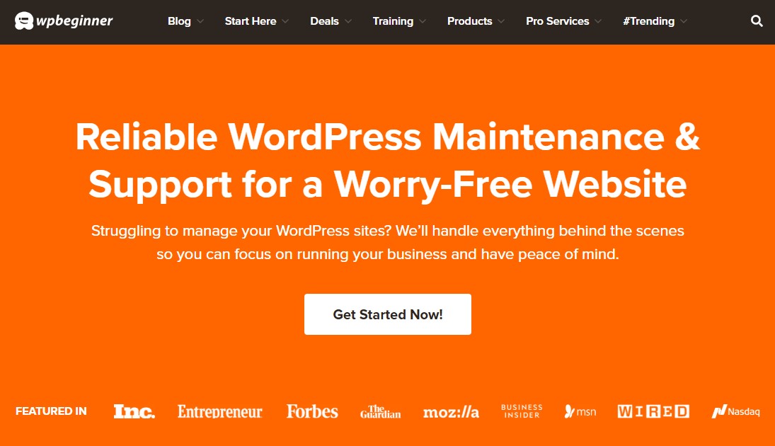 WPBeginner Pro Services
