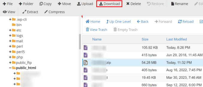 Download Zip File