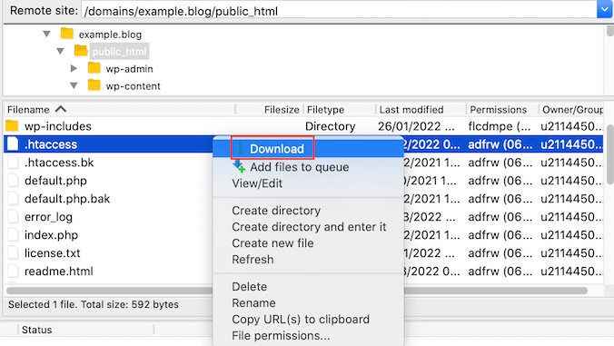Downloading the .htaccess File in Filezilla