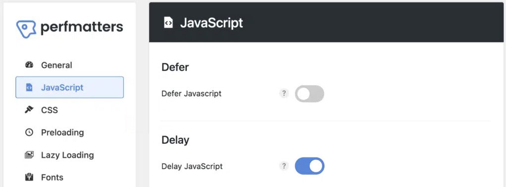 Perfmatters Delay JavaScript Execution option