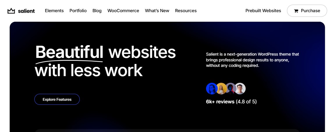Salient WordPress Theme